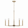 Portman Chandelier by Capital Lighting