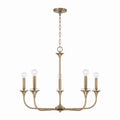 Presley Chandelier by Capital Lighting