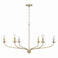 Dolan Chandelier by Capital Lighting