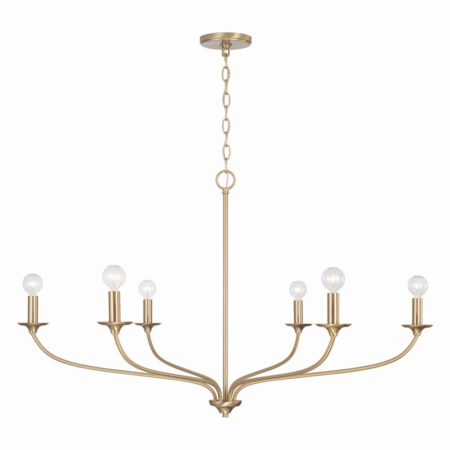 Dolan Chandelier by Capital Lighting