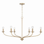 Capital Lighting-449961MA|MAIN