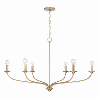 Dolan Chandelier by Capital Lighting