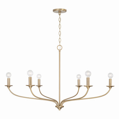 Dolan Chandelier by Capital Lighting
