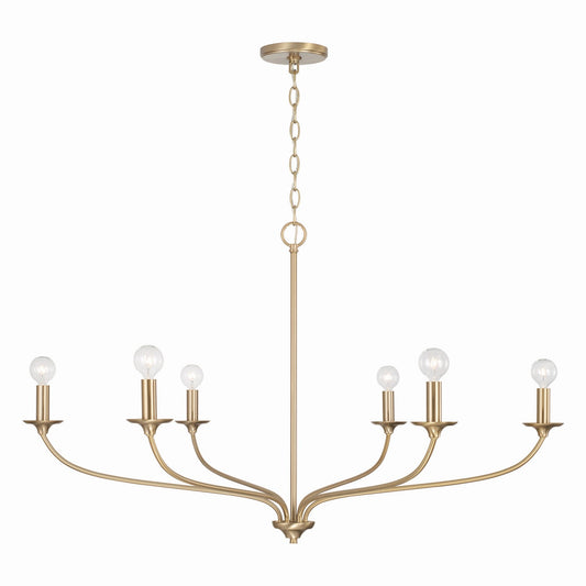 Dolan Chandelier by Capital Lighting