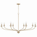 Dolan Chandelier by Capital Lighting