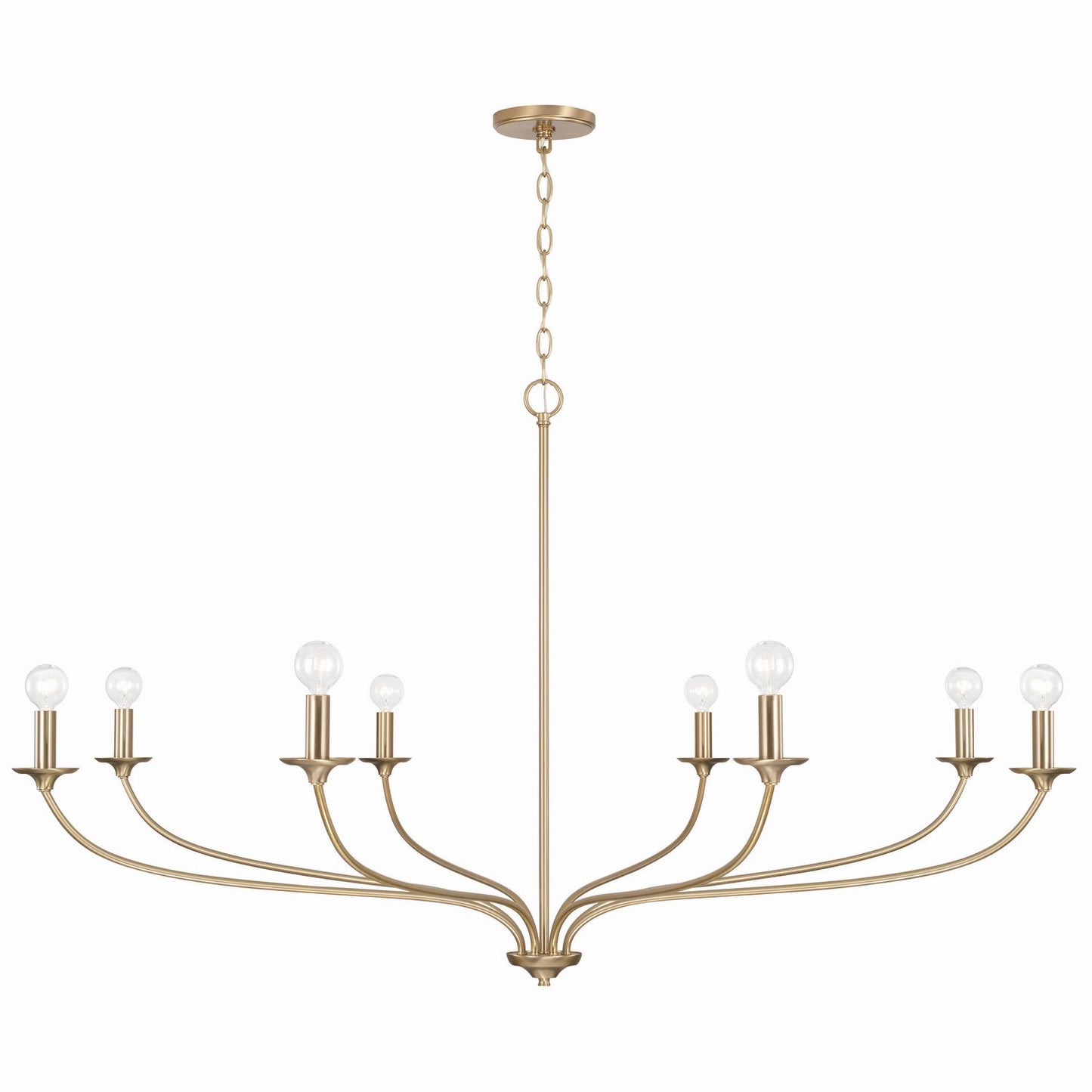Dolan Chandelier by Capital Lighting