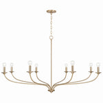 Capital Lighting-449981MA|MAIN