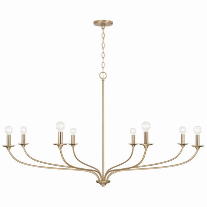 Dolan Chandelier by Capital Lighting