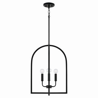 Buy matte-black Lawson Foyer Light by Capital Lighting