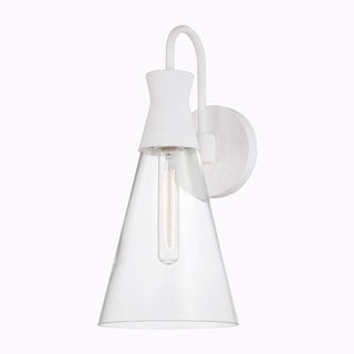 Buy textured-white-with-clear-glass-glass-and-clear-shade Paloma Outdoor (Damp) Wall Sconce by Capital Lighting