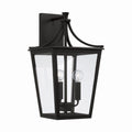 Adair Outdoor (Wet) Lantern by Capital Lighting