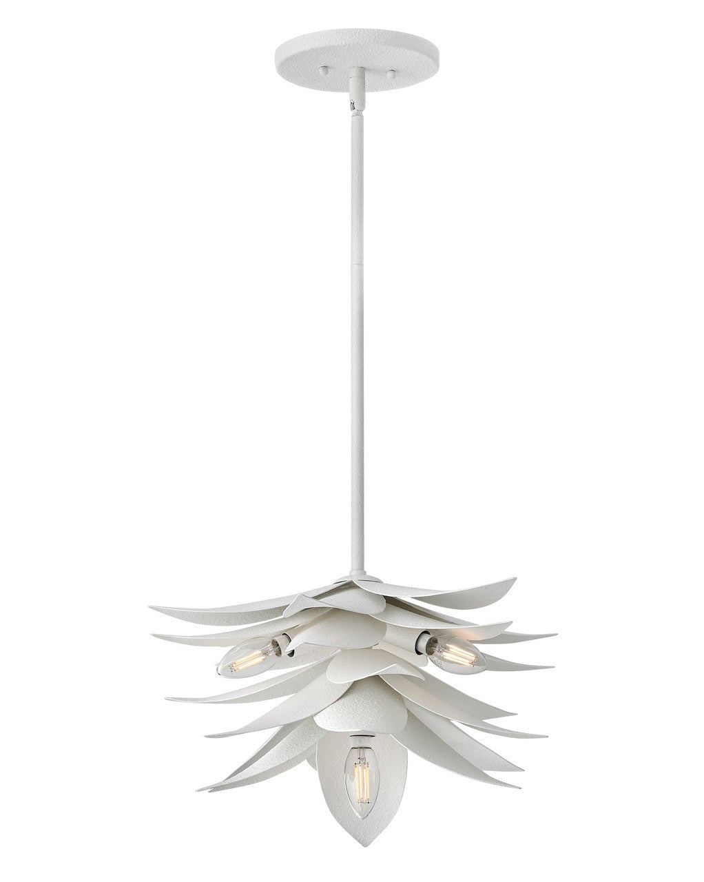 Fredrick Ramond-FR30811TXP|MAIN