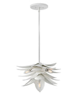 Fredrick Ramond-FR30811TXP|MAIN