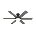 Donatella Ceiling Fan with Light by Hunter