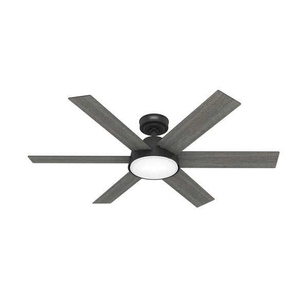 Donatella Ceiling Fan with Light by Hunter