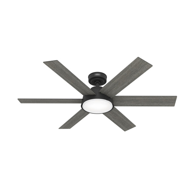 Donatella Ceiling Fan with Light by Hunter