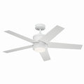 Brahm Ceiling Fan with Light by Kichler