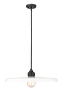 Paloma Outdoor (Damp) Pendant by Z-Lite