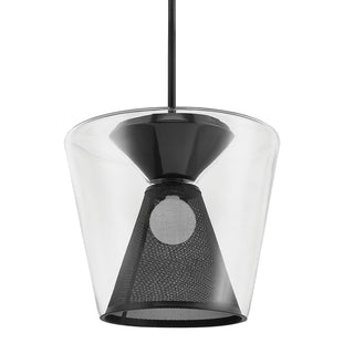 Buy soft-black-with-clear-glass-and-clear-shade Berlin Pendant by Troy Lighting