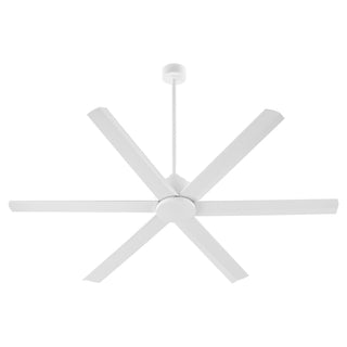 Quorum-20656-8 image