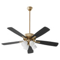 Ovation Ceiling Fan by Quorum