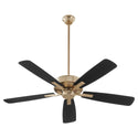 Ovation Ceiling Fan by Quorum