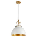 Picture Lights Outdoor (Damp) Pendant by Quorum