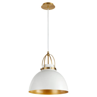 Picture Lights Outdoor (Damp) Pendant by Quorum