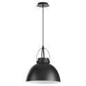 Picture Lights Outdoor (Damp) Pendant by Quorum