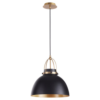 Buy matte-black-w-aged-brass Picture Lights Outdoor (Damp) Pendant by Quorum
