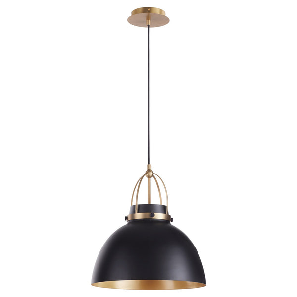 Picture Lights Outdoor (Damp) Pendant by Quorum