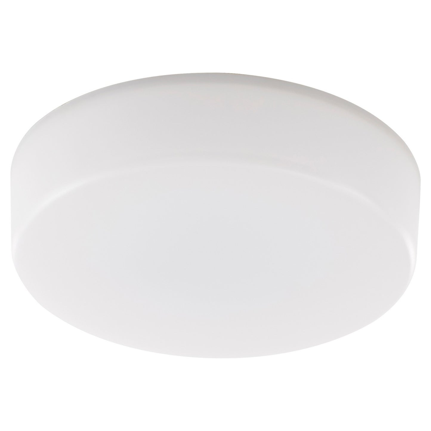 Quorum-8-80805|MAIN