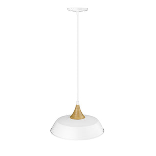 Buy matte-white Arlo Pendant by Millennium