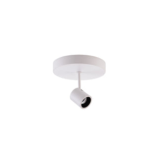 Buy white-and-white-shade Stealth Silo Spotlight by W.A.C. Lighting