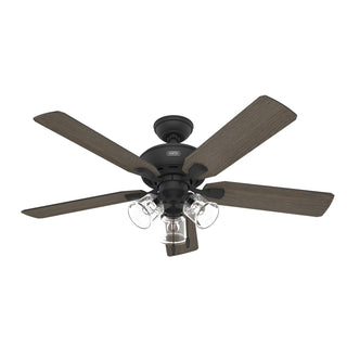 Rosner Ceiling Fan with Light by Hunter