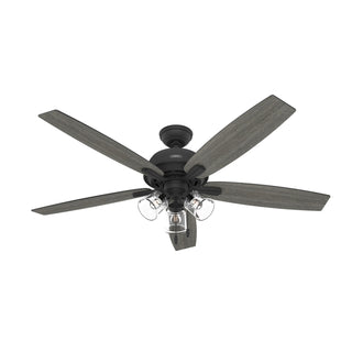 Dondra Ceiling Fan with Light by Hunter
