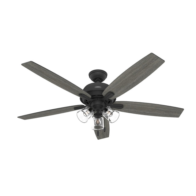 Dondra Ceiling Fan with Light by Hunter