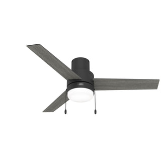 Brunner Hugger Ceiling Fan with Light by Hunter
