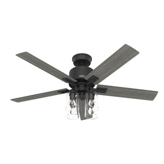 Buy matte-black-finish-with-matte-black-and-reversible-dark-gray-oak-blades Techne Ceiling Fan with Light by Hunter