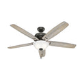 Reveille Ceiling Fan with Light by Hunter