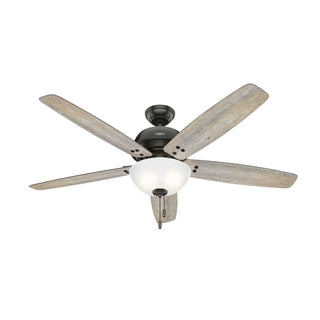 Reveille Ceiling Fan with Light by Hunter