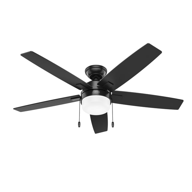 Anisten Ceiling Fan with Light by Hunter