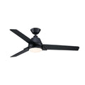 Pyramid Outdoor (Damp) Ceiling Fan with Light by Fanimation