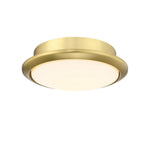 Fanimation-LK8530BS|MAIN