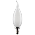 Satco - S21295 - Light Bulb - Frost from Lighting & Bulbs Unlimited.