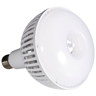 Satco - S23112 - Light Bulb - Translucent White from Lighting & Bulbs Unlimited.