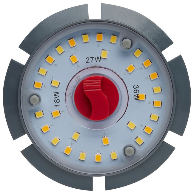 Satco-S23149|ALT|4