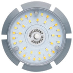 Satco-S23162|ALT|4