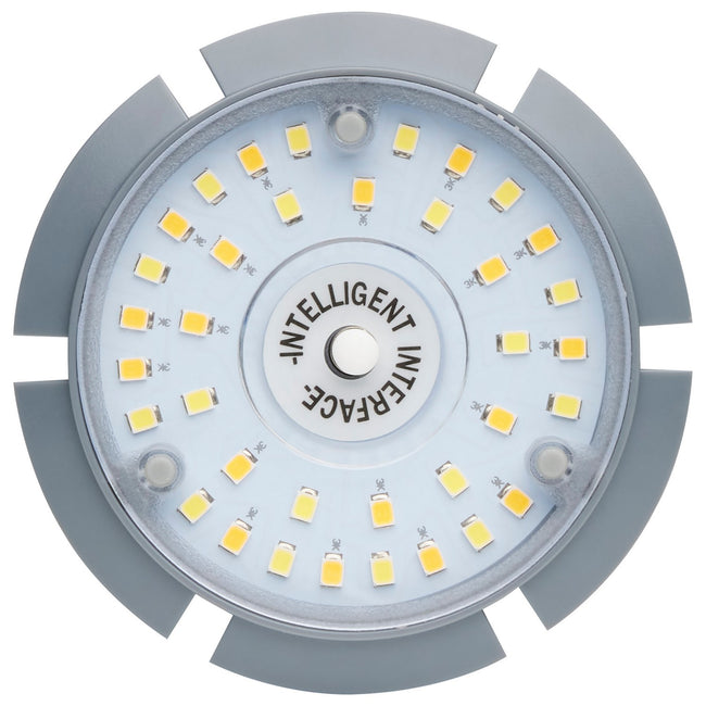 Satco-S23162|ALT|4