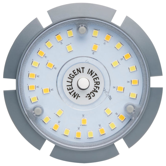 Satco-S23164|ALT|4